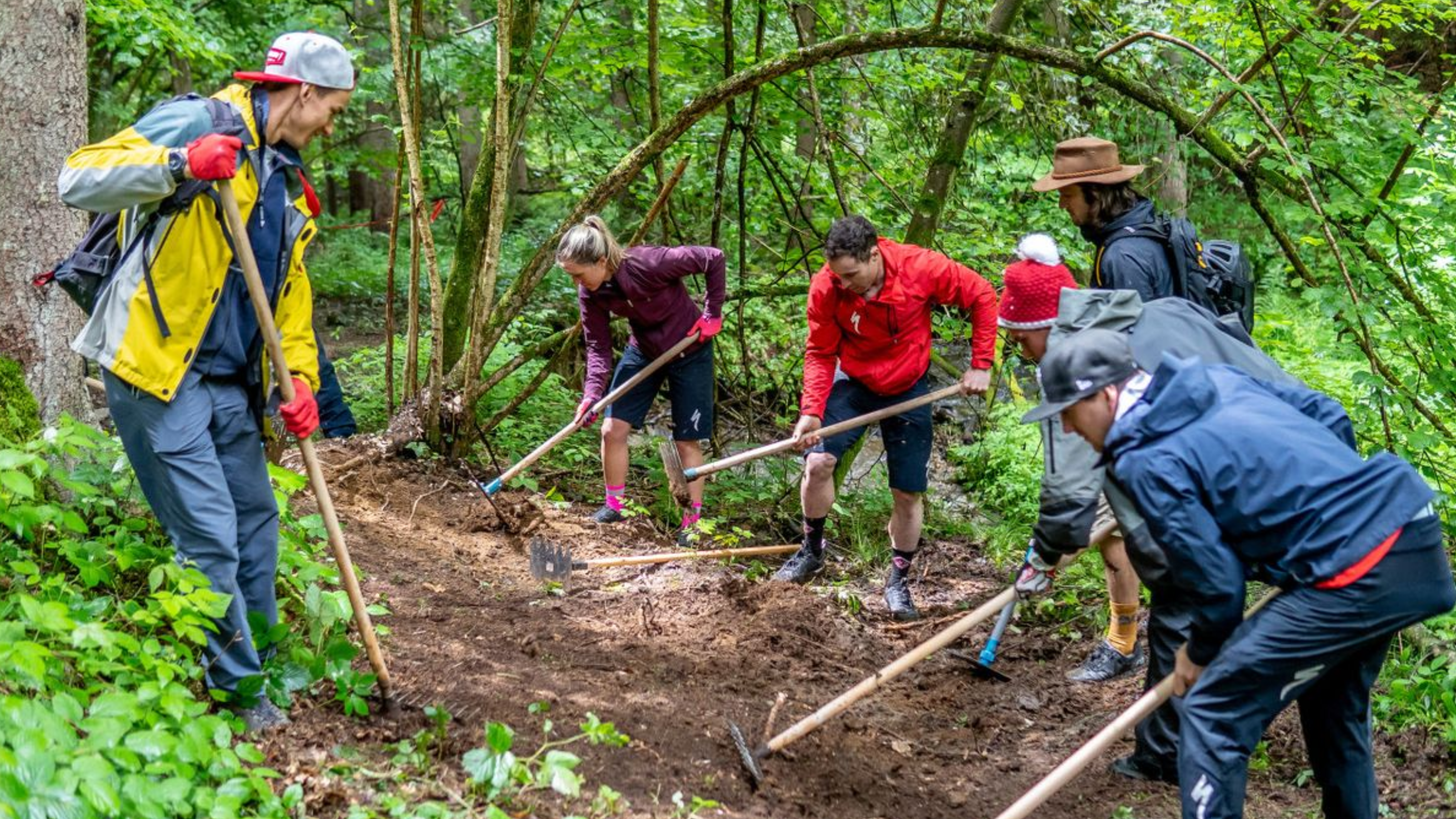 Group of trekkers maintaining steady pace on mountain trail demonstrating proper trekking rhythm