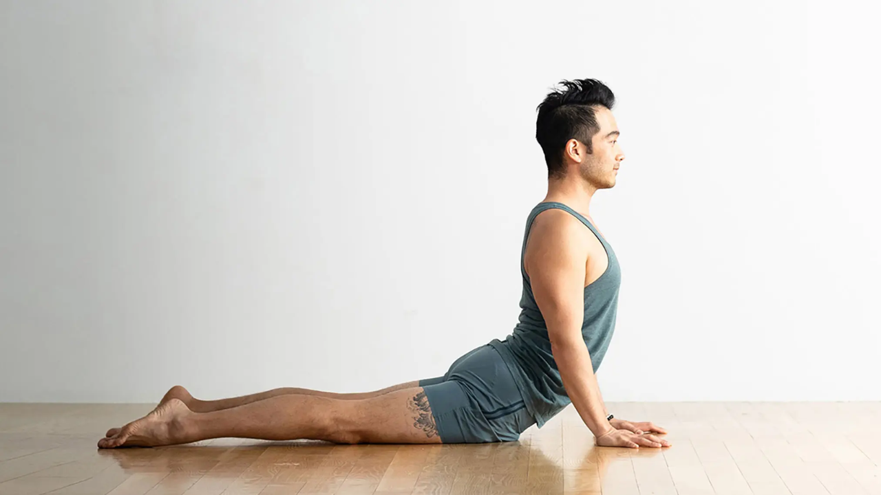 Daily yoga routine for weight loss at home from beginner to advanced level
